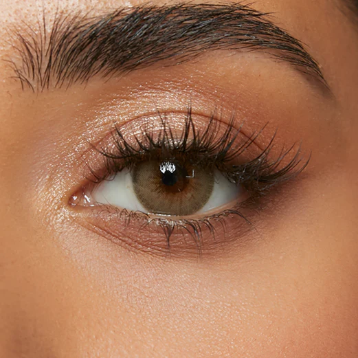 Burnt Butter Hazel (1-Day) - Image 6